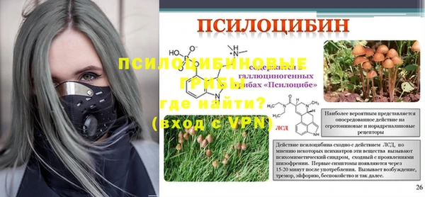дмт Алзамай