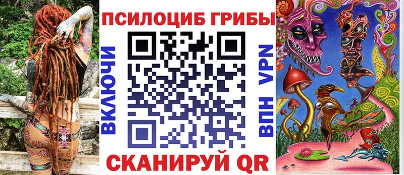 Галлюциногенные грибы Cubensis  Купить закладки  Кола 